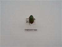 藏品(黃豔金龜)的圖片